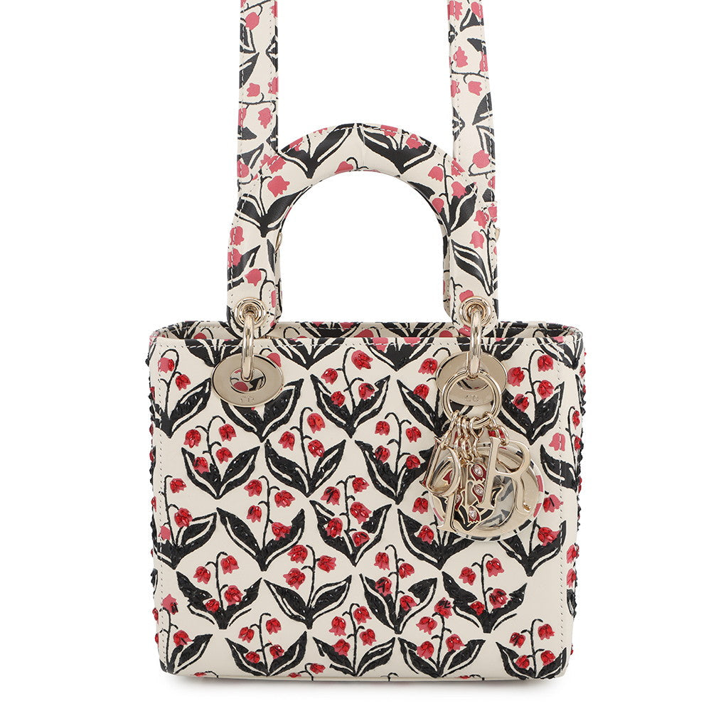 Dior Luxury Leather Handbag Style 12