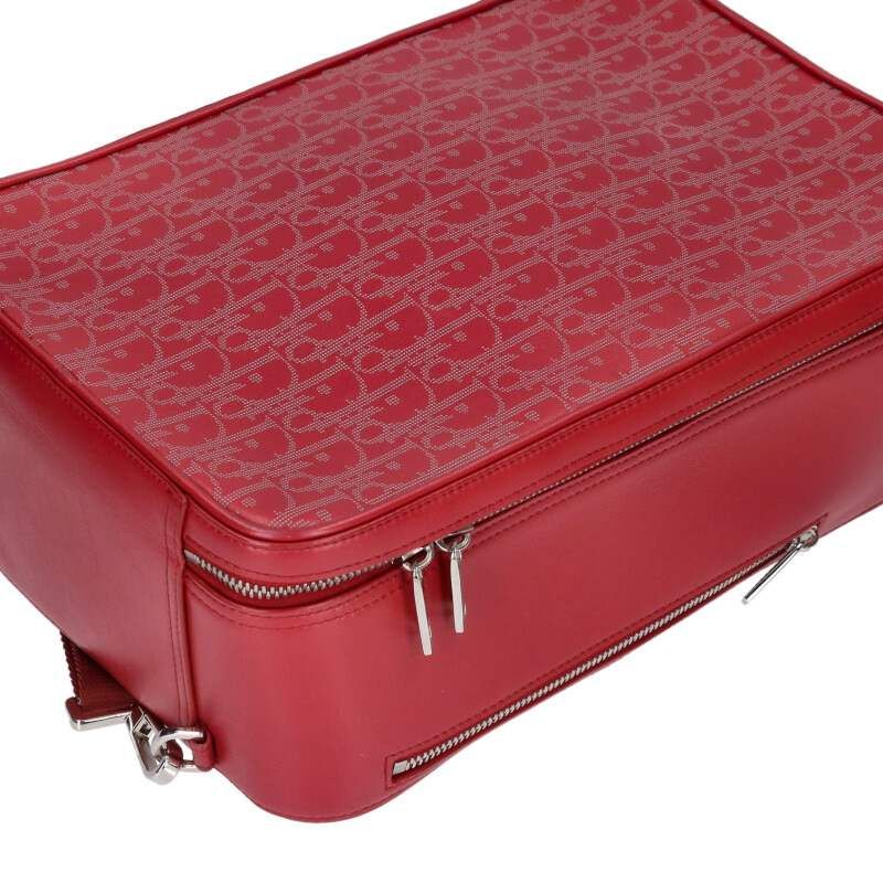 Dior World Tour Oblique All Over Leather Handbag