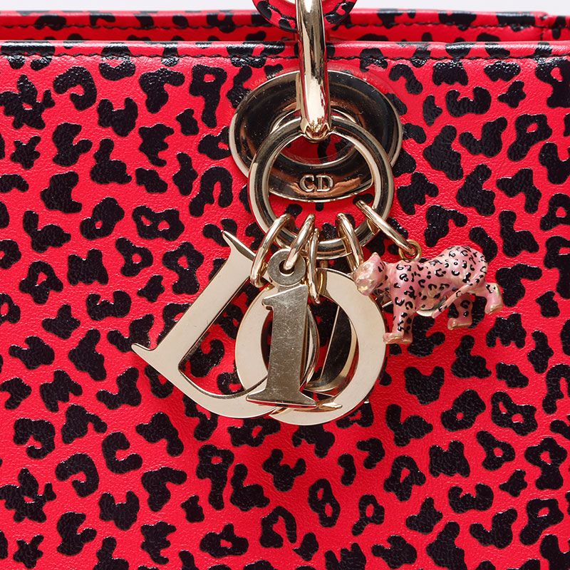 Dior Handbag Leopard Print 2-Way