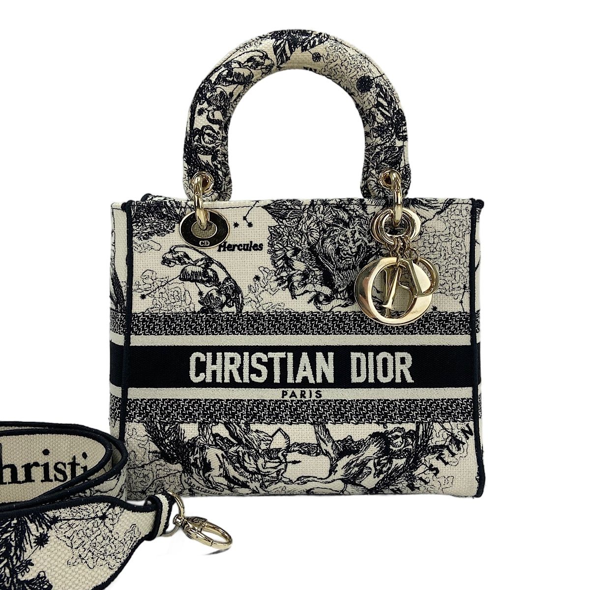 Dior Handbag Lady Embroidery 2-Way