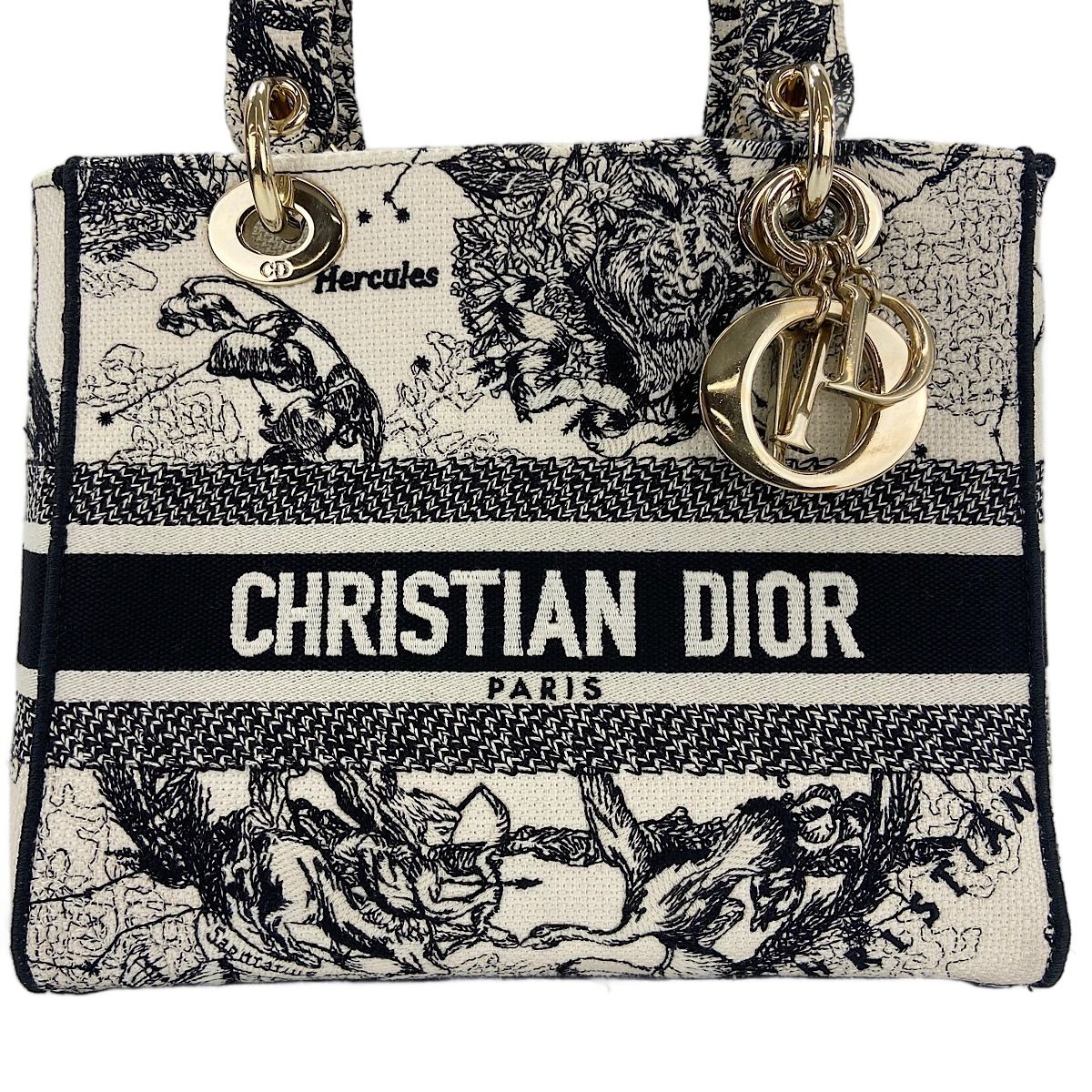 Dior Handbag Lady Embroidery 2-Way