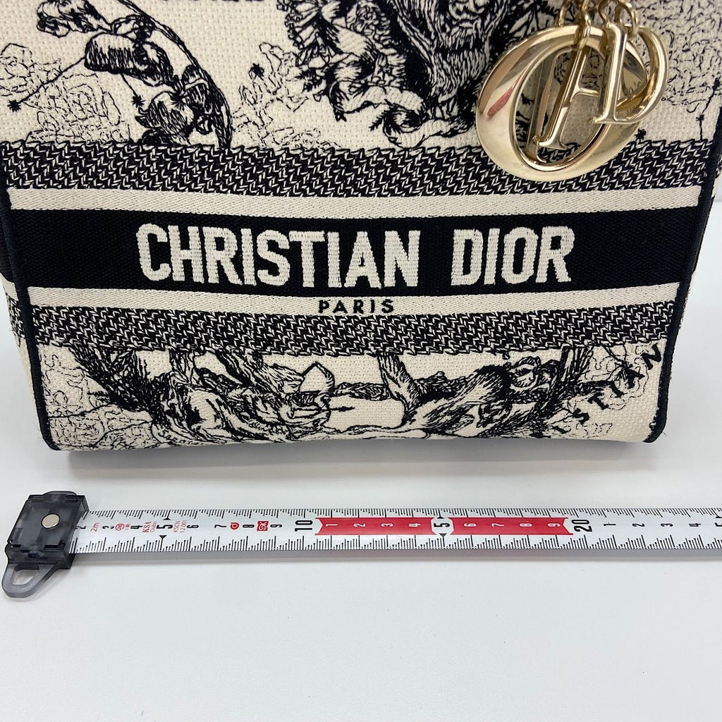 Dior Handbag Lady Embroidery 2-Way