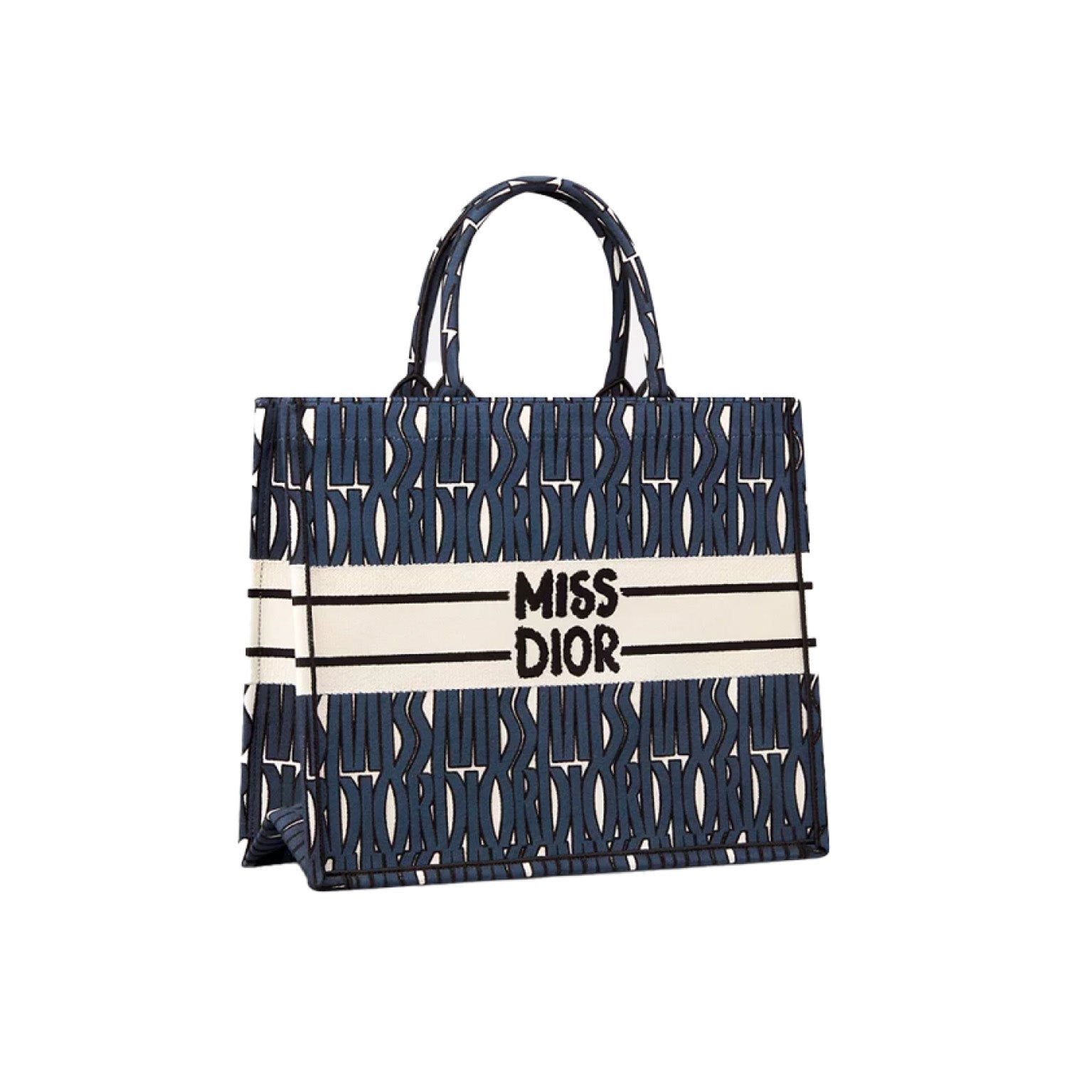 Dior Book Tote Tote Bag