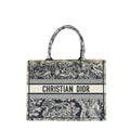 Dior Book Tote Tote Bag