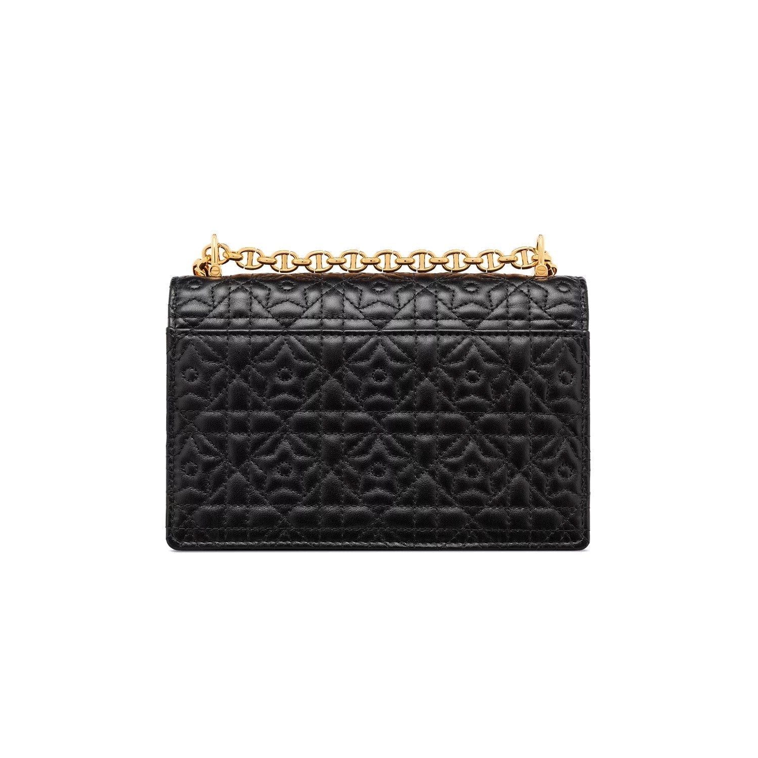 Dior Twist Chain Leather Handbag