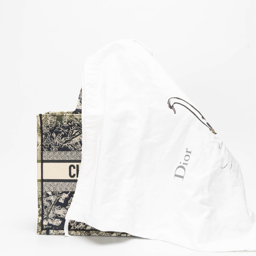 Dior Book Tote Tote Bag