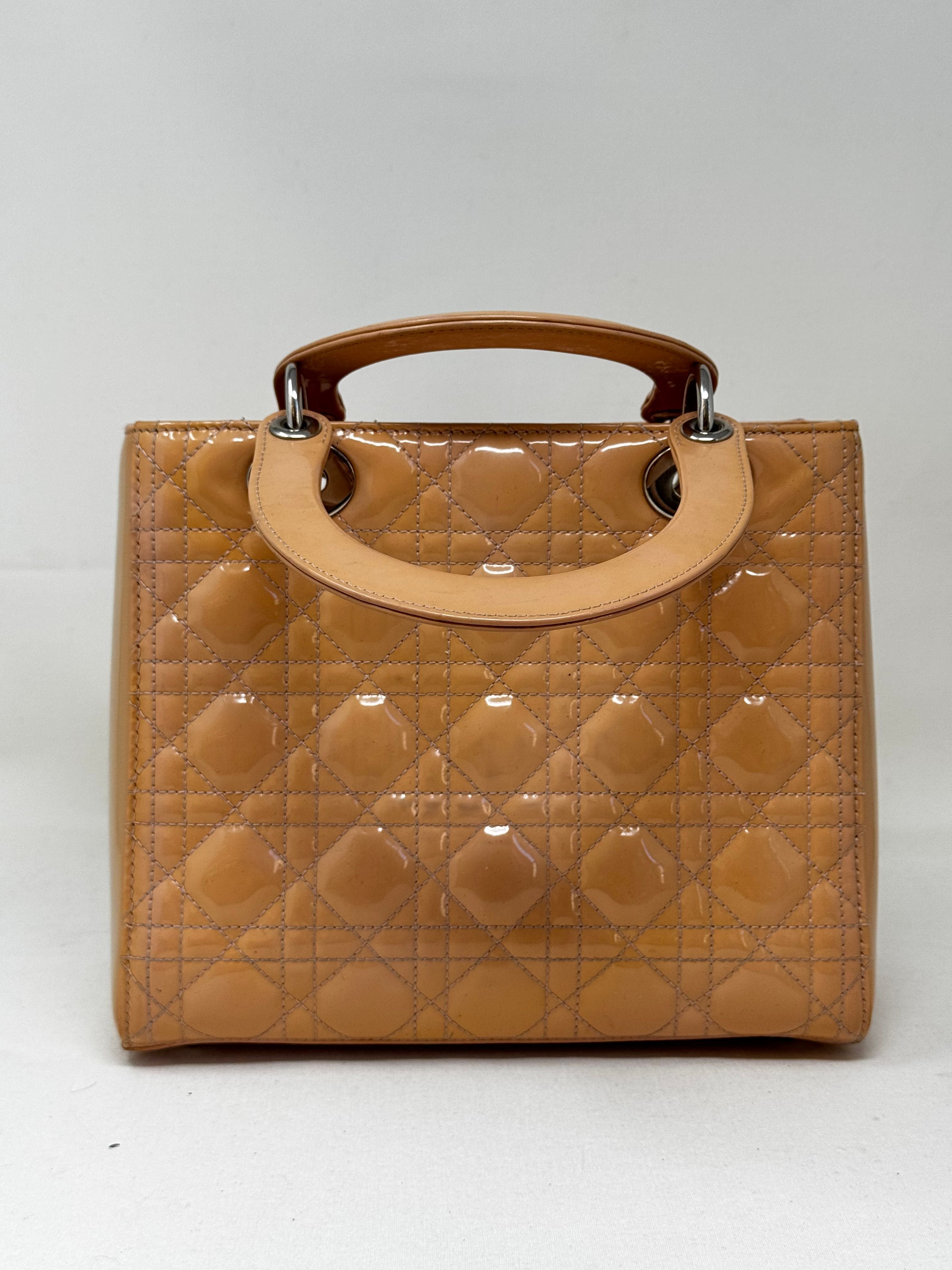 Dior Luxury Leather Handbag Style 21
