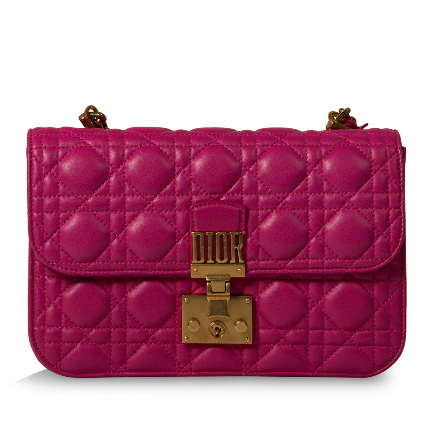 Dior Chain Leather Tote Bag