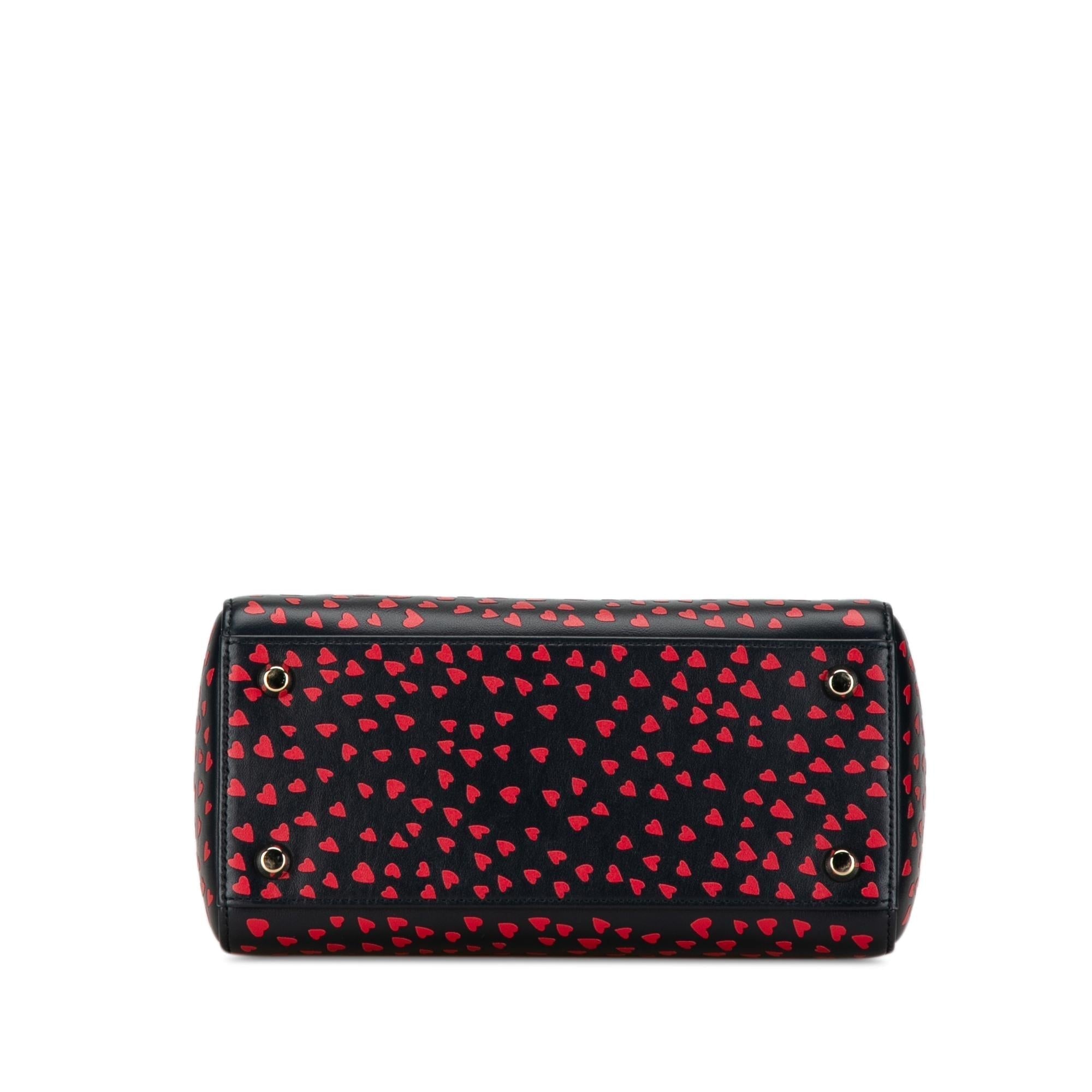 Dior Medium I Love Paris Dior Satchel