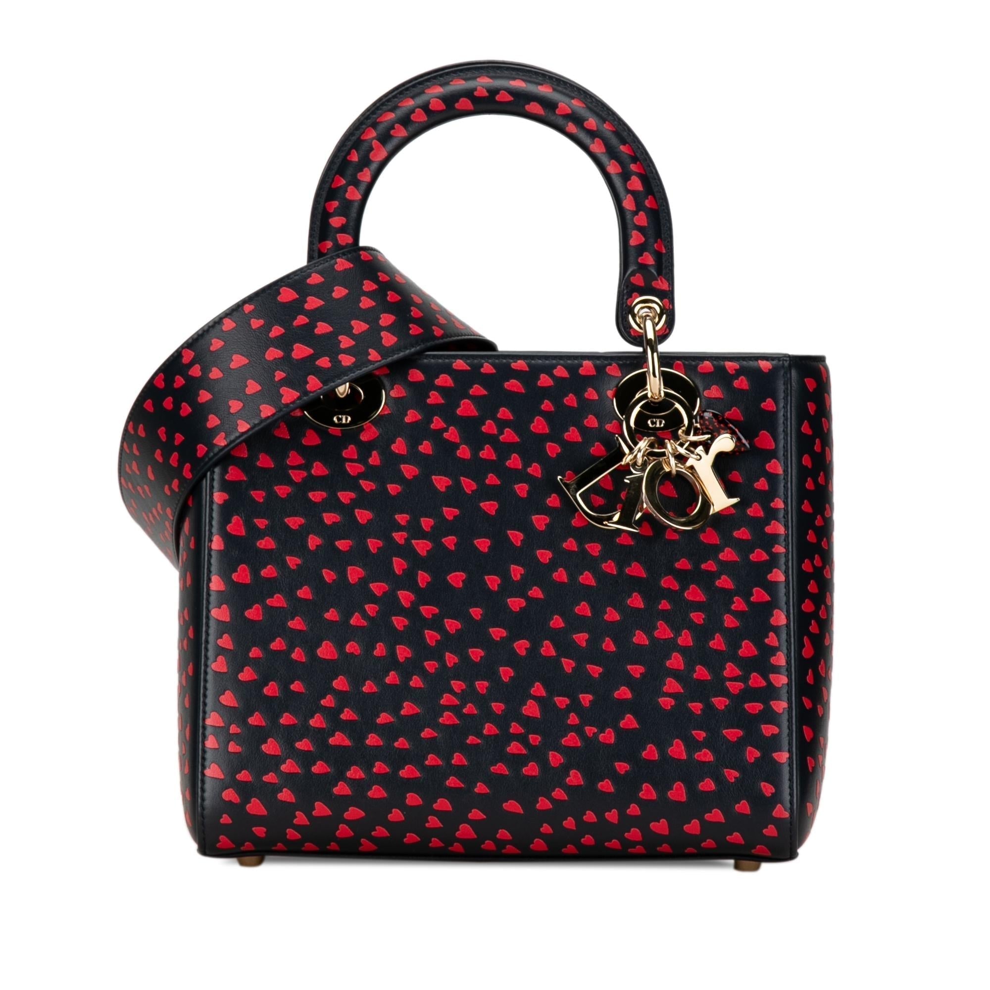 Dior Medium I Love Paris Dior Satchel