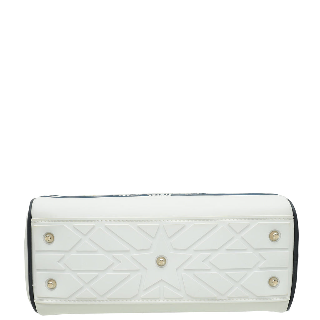 Dior Luxury Leather Handbag Style 14