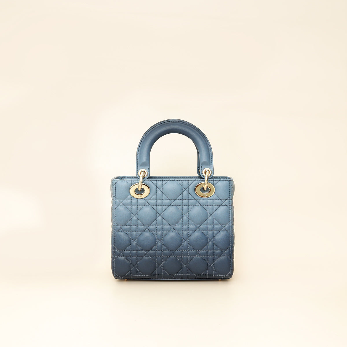 Dior Lady Dior Leather Handbag Style 76