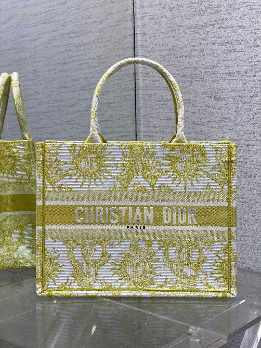 Dior Book Tote Tote Bag
