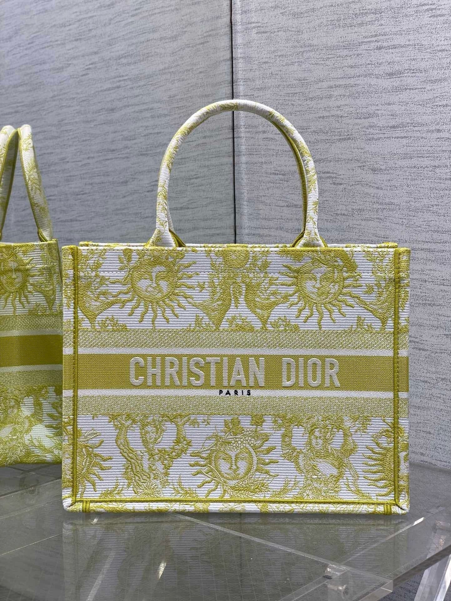 Dior Book Tote Tote Bag