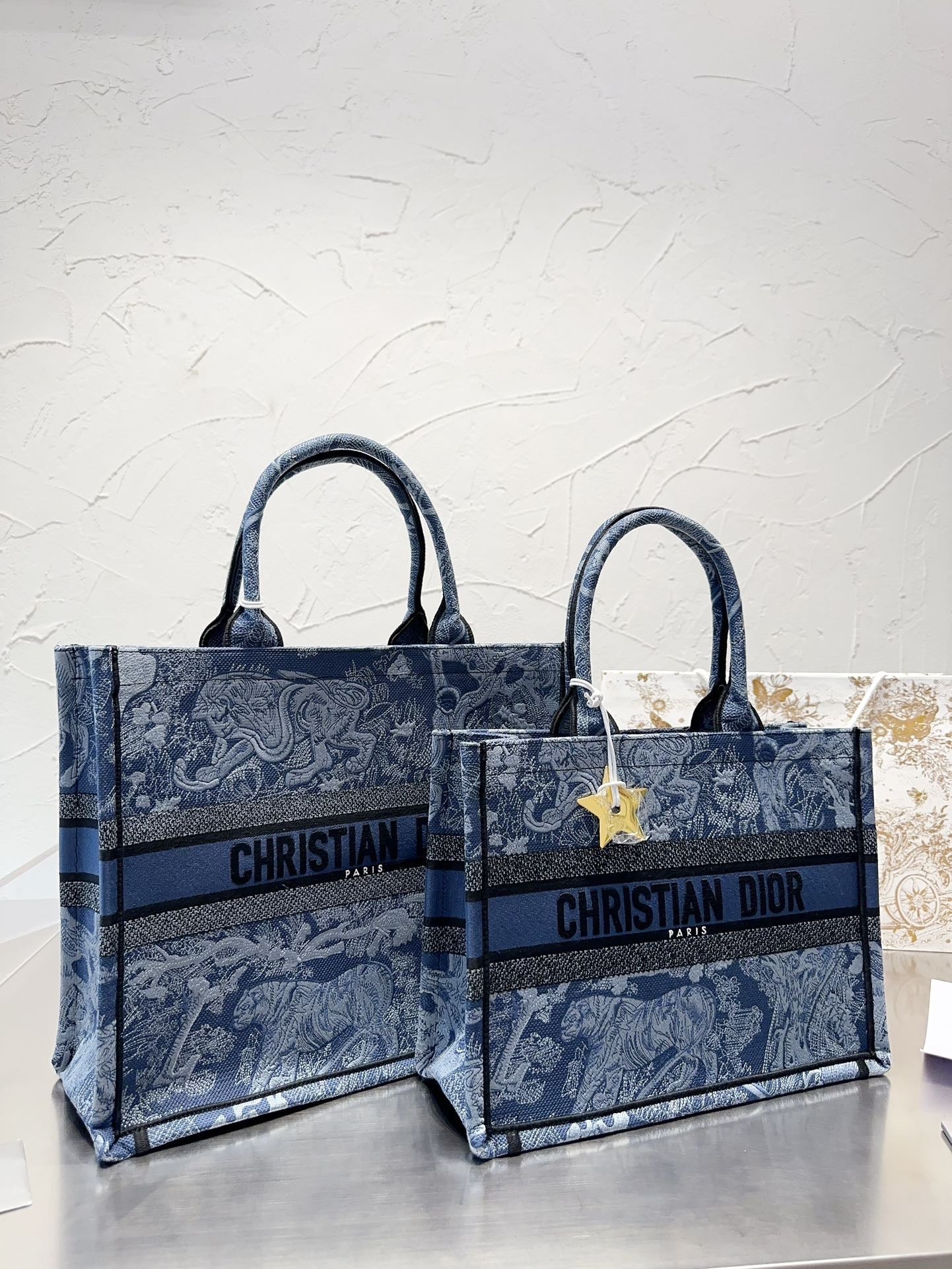 Dior Book Tote Tote Bag