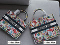 Dior Book Tote Tote Bag