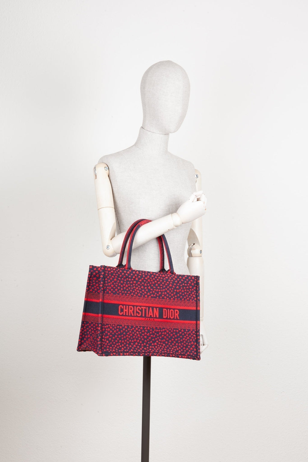 Dior Book Tote Canvas Tote Bag