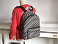 Dior Luxury Leather Backpack