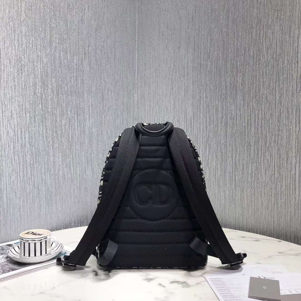 Dior Luxury Leather Backpack