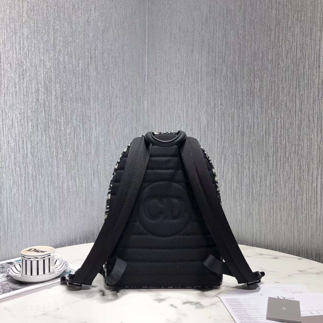 Dior Luxury Leather Backpack
