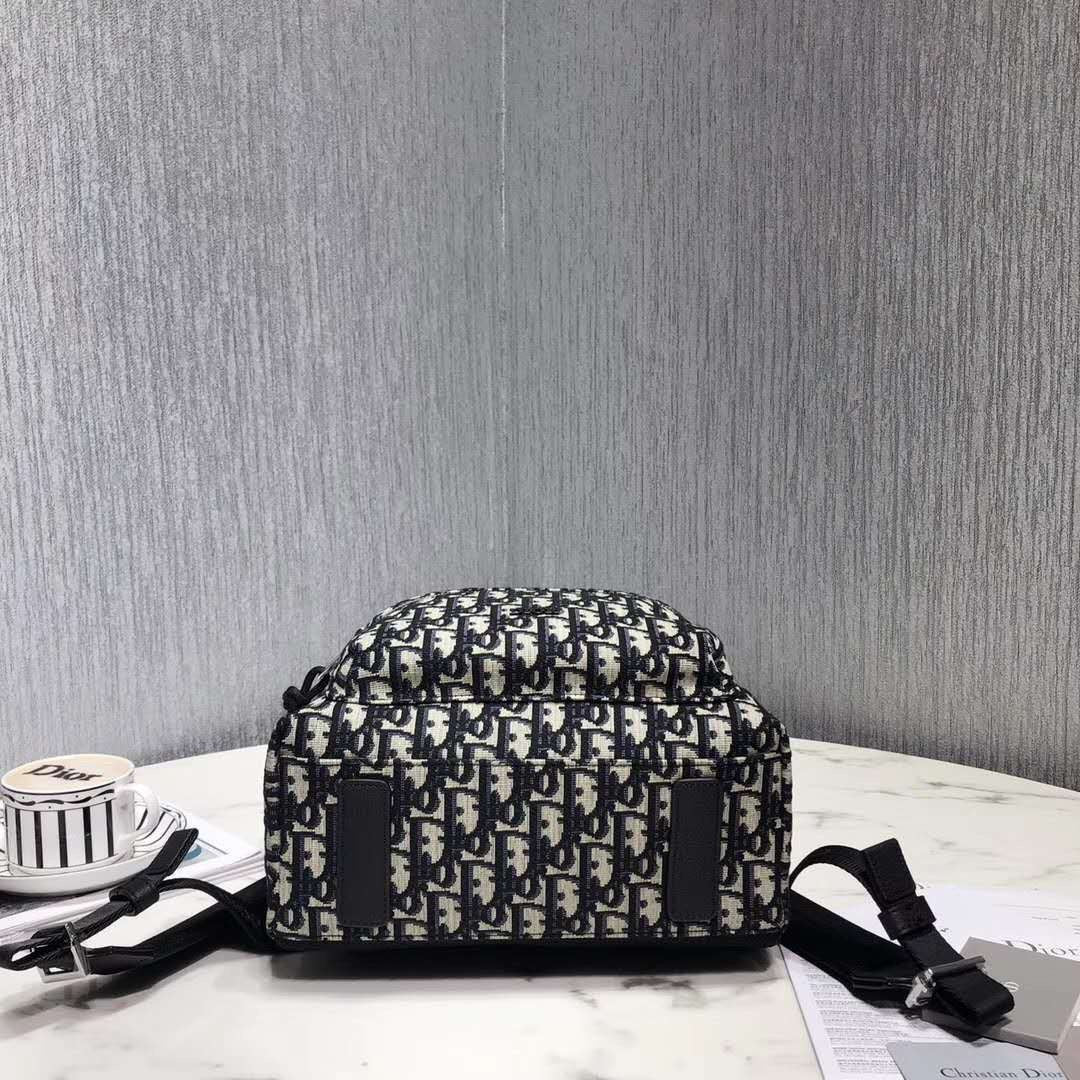Dior Luxury Leather Backpack