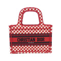 Dior Mini Canvas Handbag